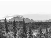 Denali National Park