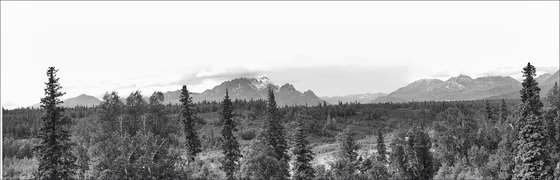 Denali National Park