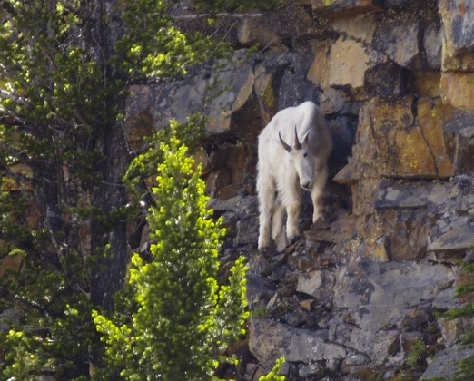 Yellowstone National Park