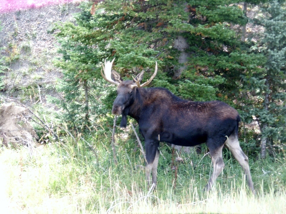 Glacier National Park