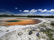 Yellowstone National Park