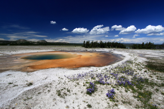 Yellowstone National Park