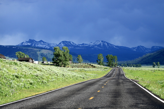 Yellowstone National Park