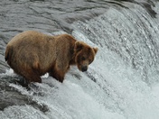 Katmai National Park