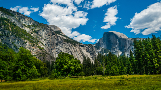 Yosemite National Park