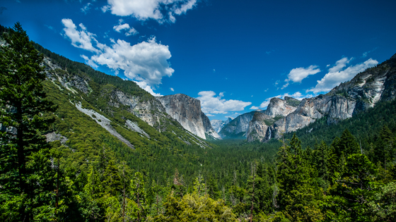 Yosemite National Park