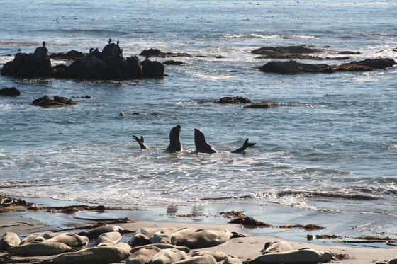 Point Reyes, CA