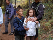 Coconino National Forest
