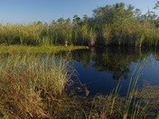 Gulf Islands National Seashore