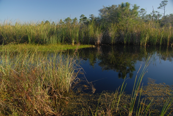Gulf Islands National Seashore