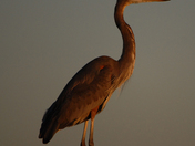 Gulf Islands National Seashore