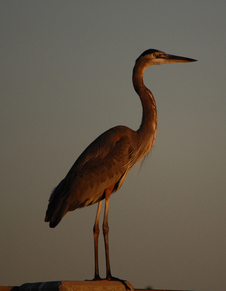 Gulf Islands National Seashore