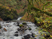 Columbia Gorge Scenic Area