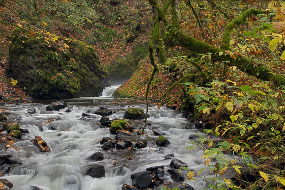 Columbia Gorge Scenic Area