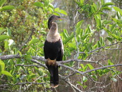 Everglades National Park