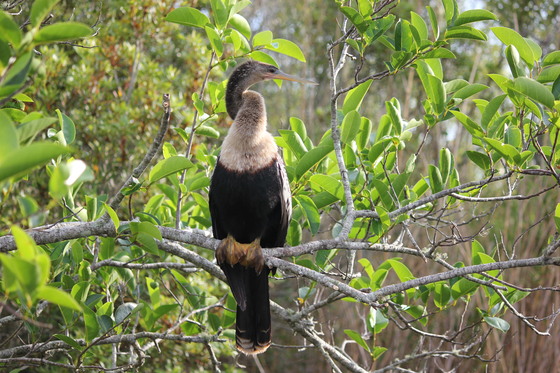Everglades National Park