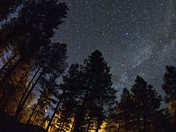 South Kaibab National Forest