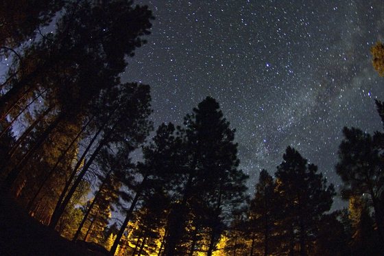 South Kaibab National Forest