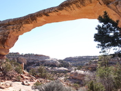 Natural Bridges National Monument