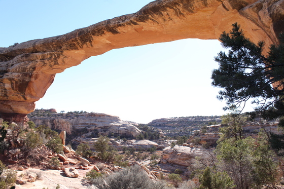 Natural Bridges National Monument