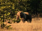 Glacier National Park