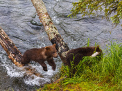 Katmai National Park, Alaska