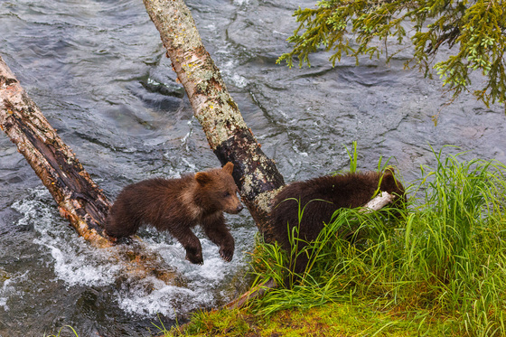 Katmai National Park, Alaska