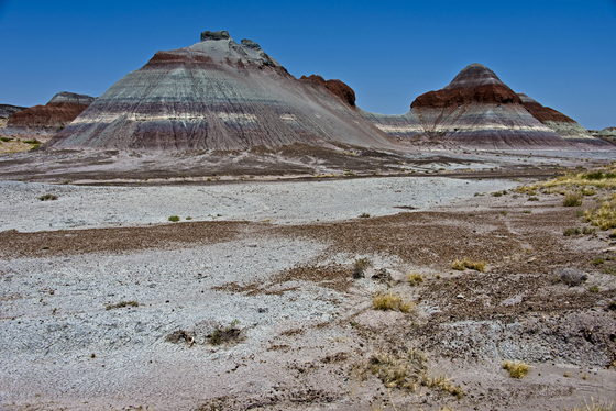 Petrified Forest National Park