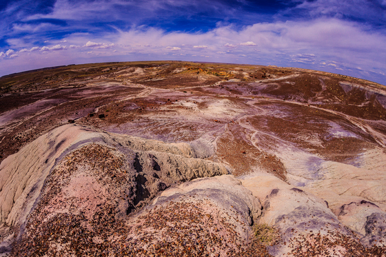 Petrified Forest National Park, Az
