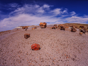 Petrified Forest National Park