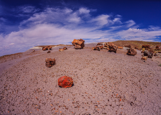 Petrified Forest National Park