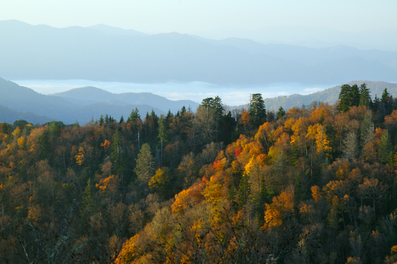 Great Smoky Mountains National Park