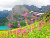 GLACIER NATIONAL PARK