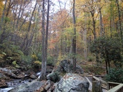 Chattahoochee National Forest