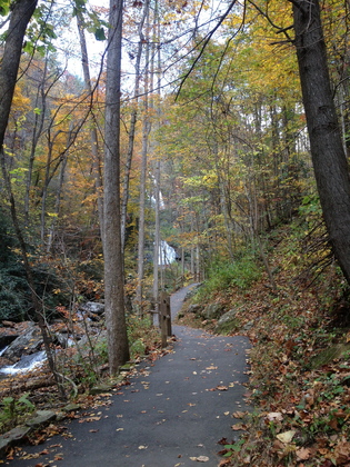 Chattahoochee National Forest