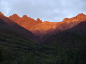 Denali National Park