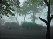Shenandoah National Park