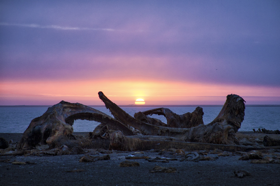 Arctic National Wildlife Refuge