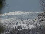 Fremont-Winema National Forests