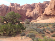 Arches National Park