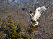Parker River Nat Wildlife Refuge