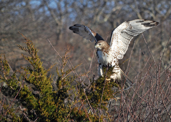 Parker River Nat Wildlife Refuge