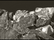 saguaro national park