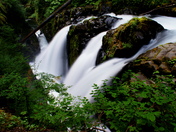 Olympic National Park