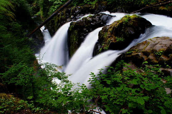 Olympic National Park