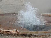 Yellowstone Nat park