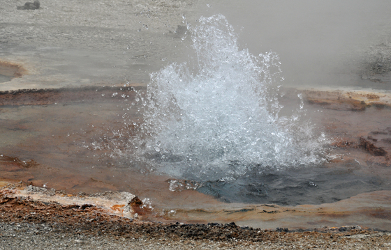 Yellowstone Nat park