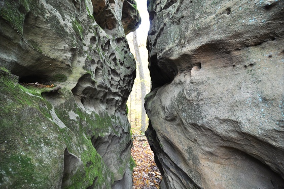 Shawnee National Forest