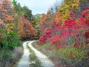 Shawnee National Forest