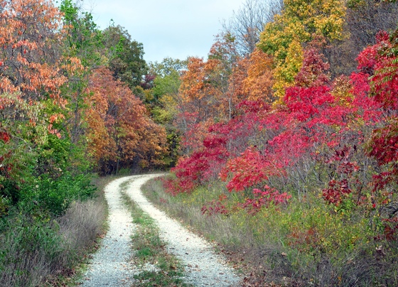 Shawnee National Forest